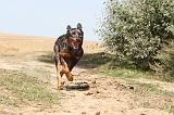 BEAUCERON 120